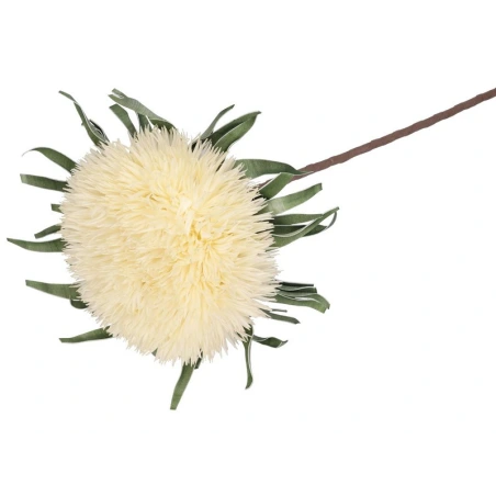 Foam Flower, 88 cm, cream
