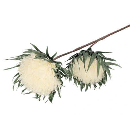 Foam Flower, 85 cm, white