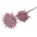 Foam Flower, 85 cm, Ash Pink