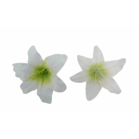 Mākslīgie liliju ziedi, Ø 14 cm, balti zaļi, 1 iep. - 24 gab.