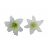 Artificial Lily Flowers, Ø 14 cm, White-Green, 1 pack - 24 pcs.