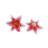 Artificial Lily Flowers, Ø 14 cm, Pink-White, 1 pack - 24 pcs.