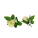 Artificial Rose Flowers, H-7 cm, Champagne Cream Color, 1 Pk. - 24 pcs.