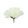 Artificial Chrysanthemum Flowers, Ø 9.5 cm, Light Cream, 1 pack - 12 pcs.