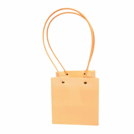 Gift Bag with Plastic Handle, 15×13 cm, Salmon Color