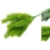Christmas Tree Branch, 38 cm