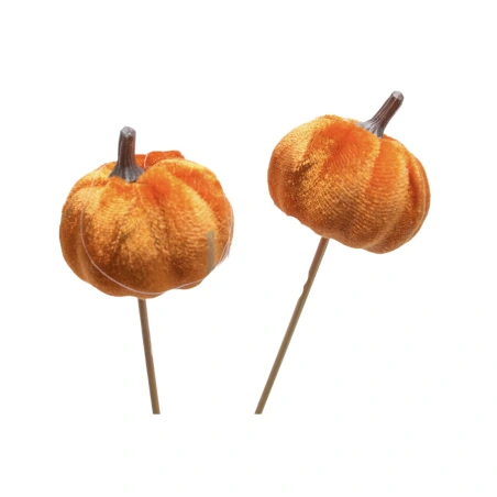 Moliūgas, 5,5 cm, ant 25,5 cm kotelio
