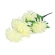 Chrysanthemum Bouquet, 7 Stems, 85 cm, Light Green