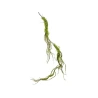 Mossy Branch, 182 cm