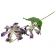 Artificial Gloriosa Stem, 74 cm, Violet