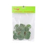 Eukaliptas ant 10 cm kotelio, 1 pak. - 20 vnt