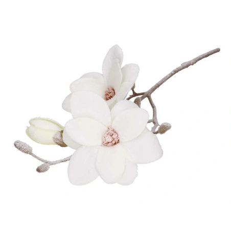 Magnolijos šakelė „apsnigta“, 50 cm, baltos spalvos