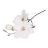 Snow-Covered Magnolia Stem, 50 cm, White