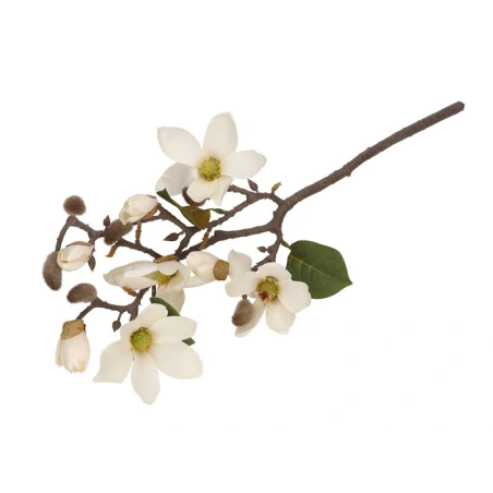 Magnolia Stem, 50 cm, White