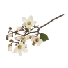 Magnolijos šakelė, 50 cm, baltos spalvos