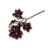 Magnolia Stem, 50 cm, Dark Cherry