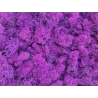 Preserved Moss, 200 g, Fuchsia