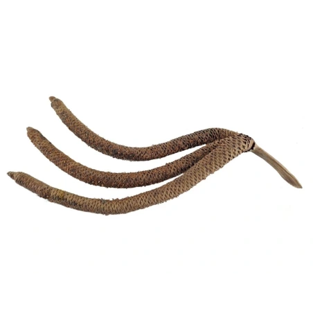 Natural 3-Finger Palm Leaf, 40–50 cm