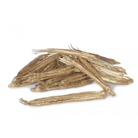“Lady Finger”, Gold, 1 pack - 24 pcs