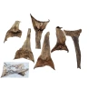 Agava, 20–25 cm, natūrali, 1 pak. - 6 vnt.