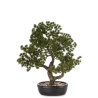 Dirbtinis bonsai medelis, 47×41×35 cm
