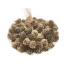 Pine Cones in a Bag, 250 g