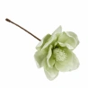 Dirbtinė magnolija, kreminės-žalios spalvos