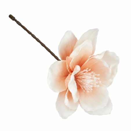 Dirbtinė magnolija, lašišinės spalvos