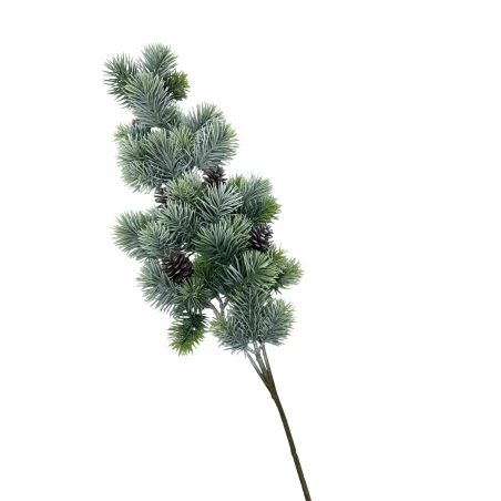 Priedes zariņš, 80 cm