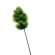 Pine Branch, 53 cm