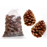 Pine Cones, Natural, 10-14 cm