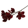 Magnolijas zars, 80 cm, tumši ķiršu krāsā