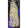 Balta egle, 120 cm, LED