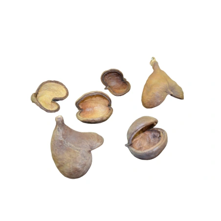 Sausuoliai „Badam“