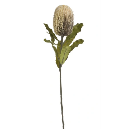 Dirbtinis augalas - banksija, 65 cm, kreminė