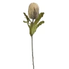 Dirbtinis augalas - banksija, 65 cm, kreminė