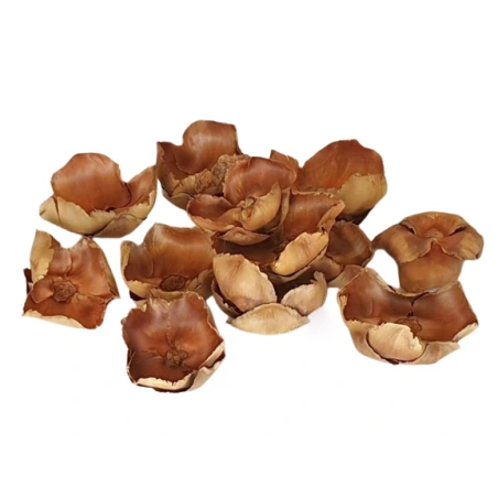 Sausuoliai, 9-12 cm, 1 pak. - 12 vnt.