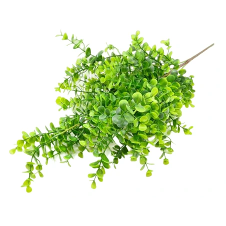 Dirbtinis eukaliptas, 61 cm