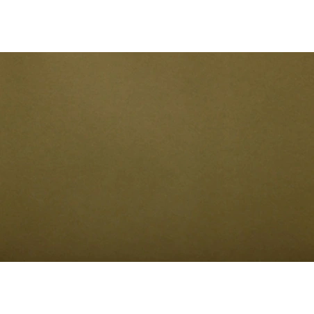 Šilko popierius, samanų spalvos, 24 vnt.,  50×76 cm,  21 g