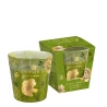 Žvakė „Floral Garden“, stikliniame inde, 115 g, degimo laikas - 30 h