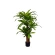 Dirbtinė dracena vazone, h-130 cm