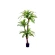 Dirbtinė dracena vazone, h-170 cm