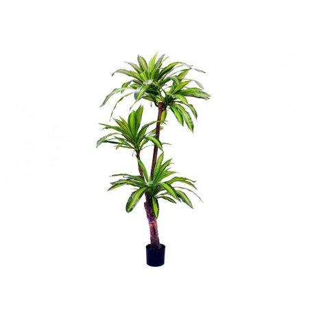 Dirbtinė dracena vazone, h-170 cm