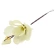 Dirbtinė magnolija, kreminės spalvos, h-36 cm
