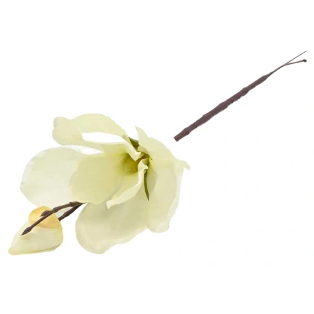 Dirbtinė magnolija, kreminės spalvos, h-36 cm