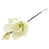 Dirbtinė magnolija, kreminės spalvos, h-36 cm