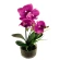 Dirbtinė orchidėja vazone, rožinės spalvos, 33 cm