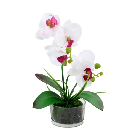 Dirbtinė orchidėja vazone, baltos, rožinės spalvos, 33 cm