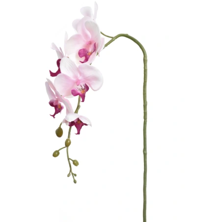 Dirbtinė orchidėja, kreminės, šviesiai rožinės spalvos, 90 cm