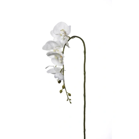 Dirbtinė orchidėja, kreminės spalvos, 90 cm